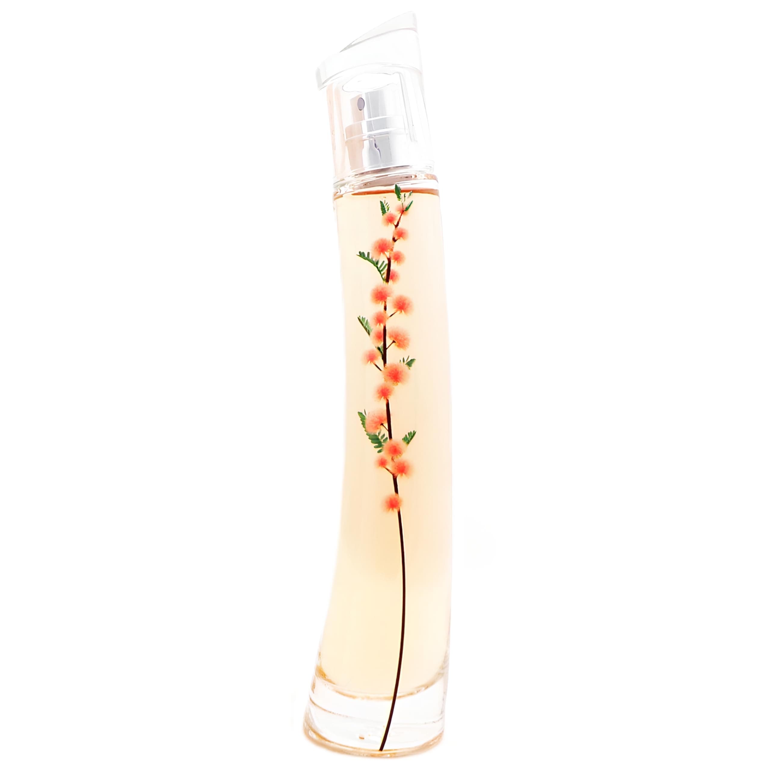 Kenzo Flower By Kenzo Ikebana Mimosa Edp 75 Ml