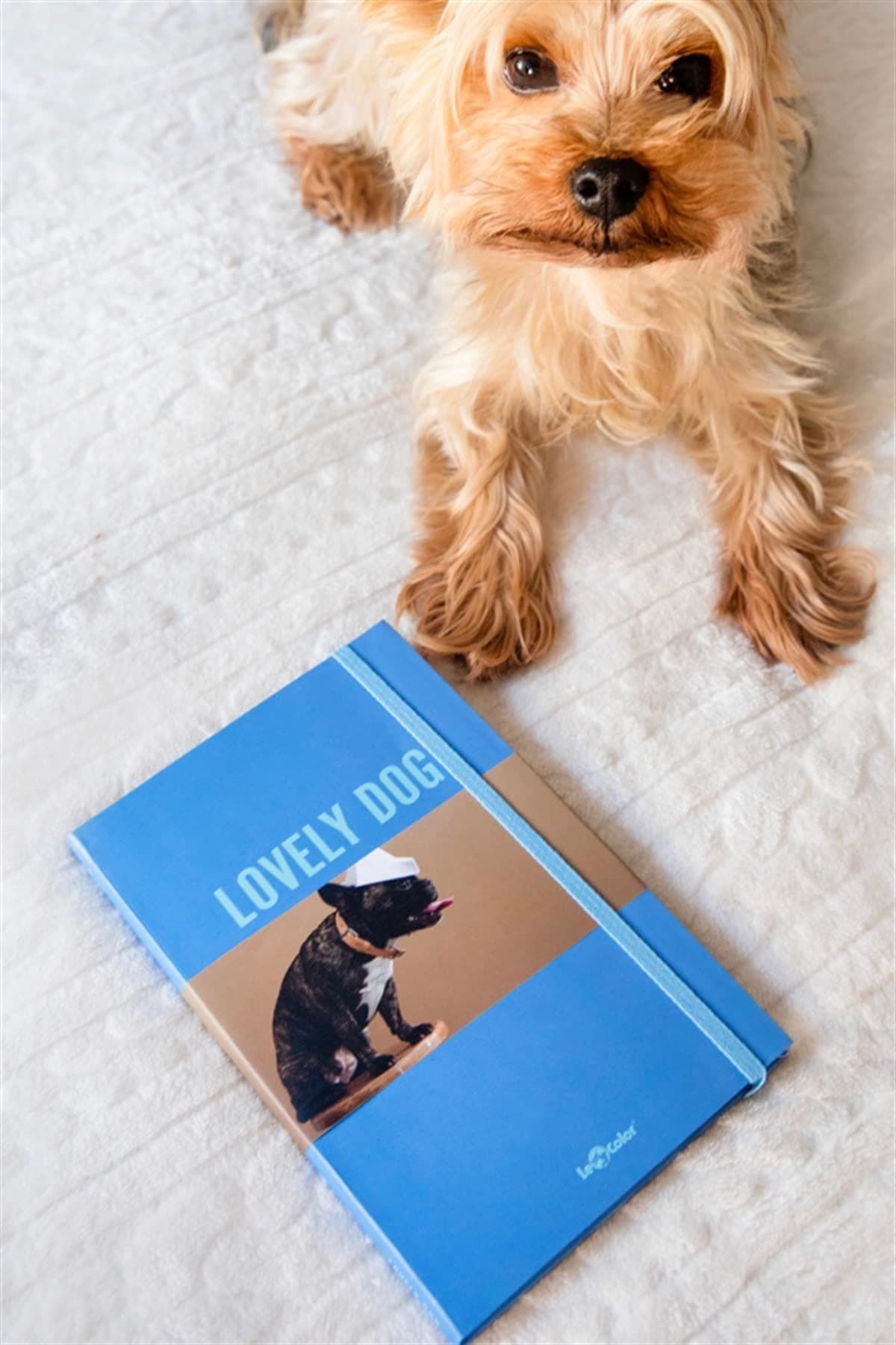 Le Color Köpek Dünyası Journal Düz