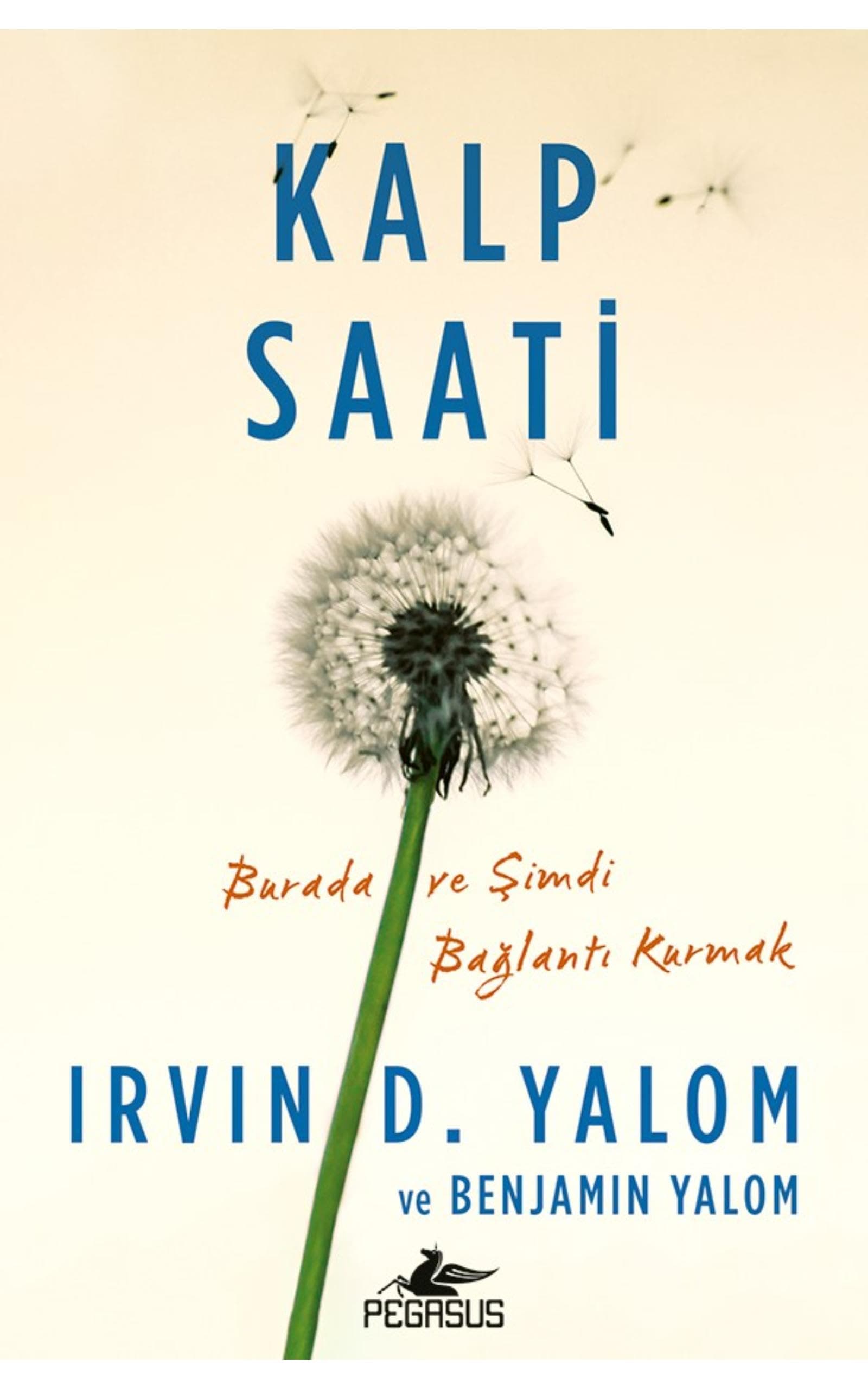 Kalp Saati: Burada ve Şimdi Bağlantı Kurmak