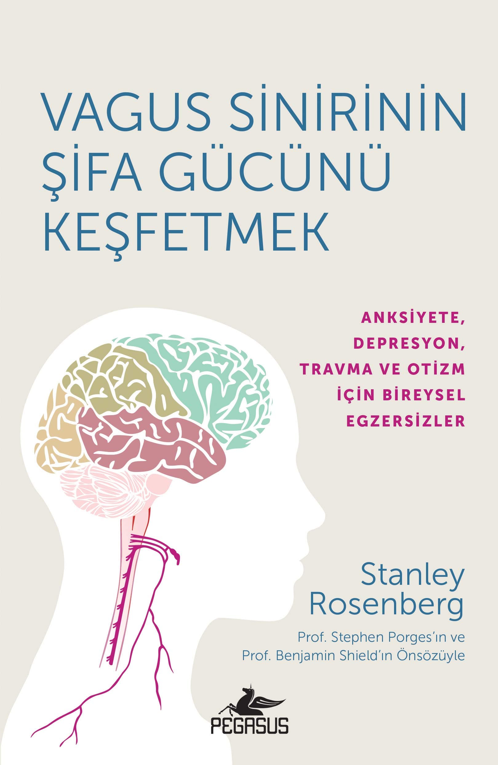 Vagus Sinirinin Şifa Gücünü Keşfetmek: Anksiyete, Depresyon, Travma ve Otizm İçin Bireysel Egzersizler