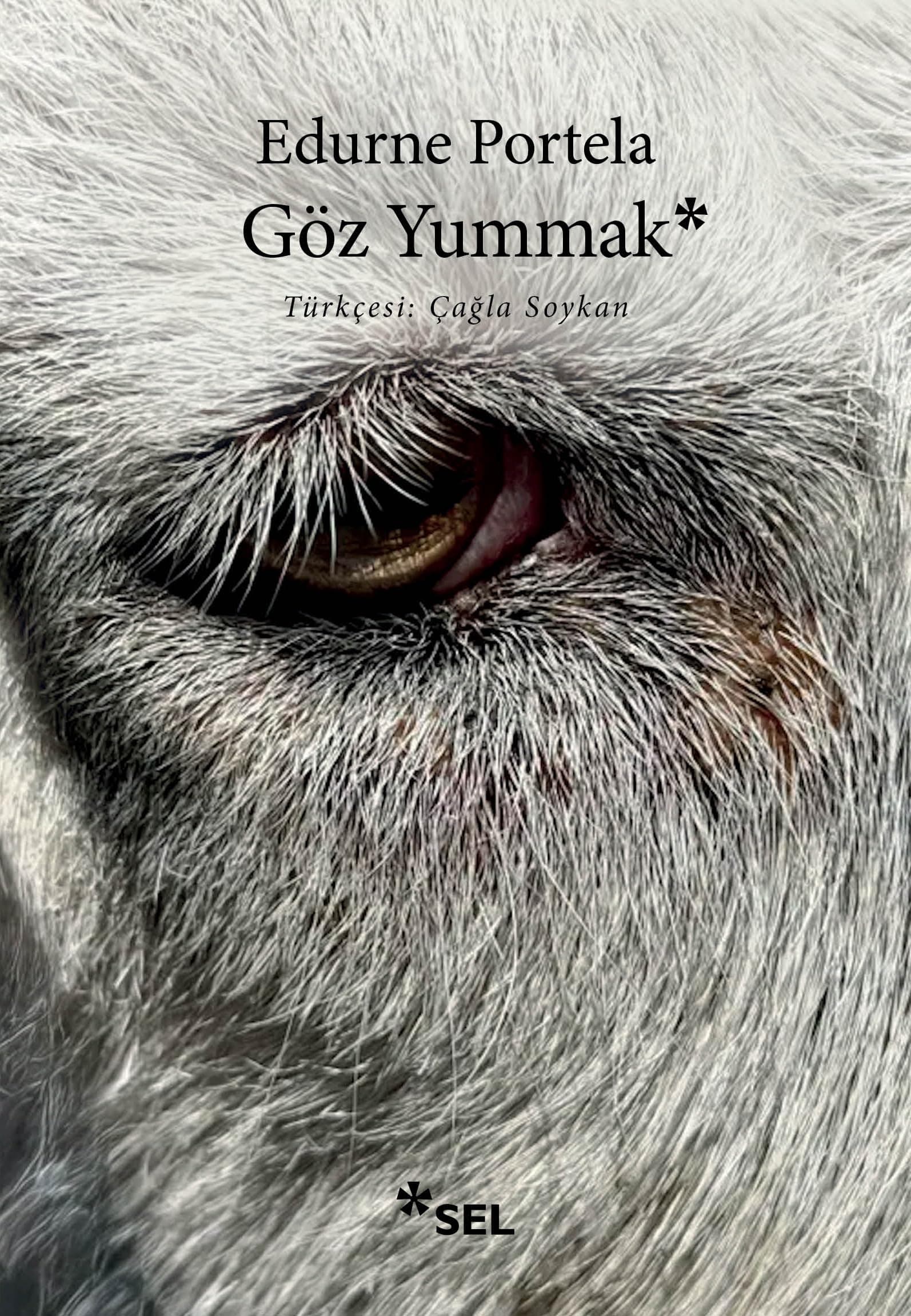 Göz Yummak - 2022 Bask Edebiyat Ödülü